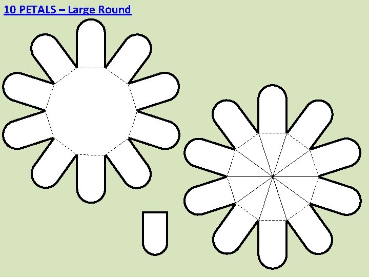 10 PETALS – Large Round 