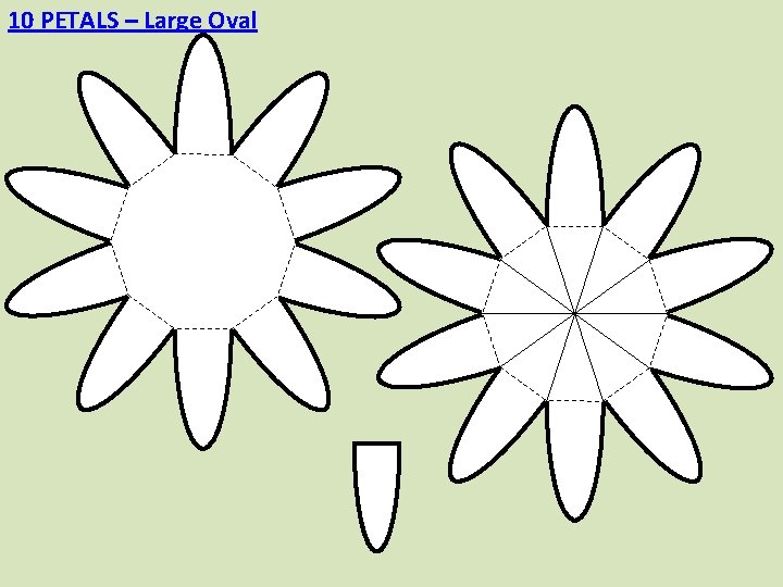 10 PETALS – Large Oval 