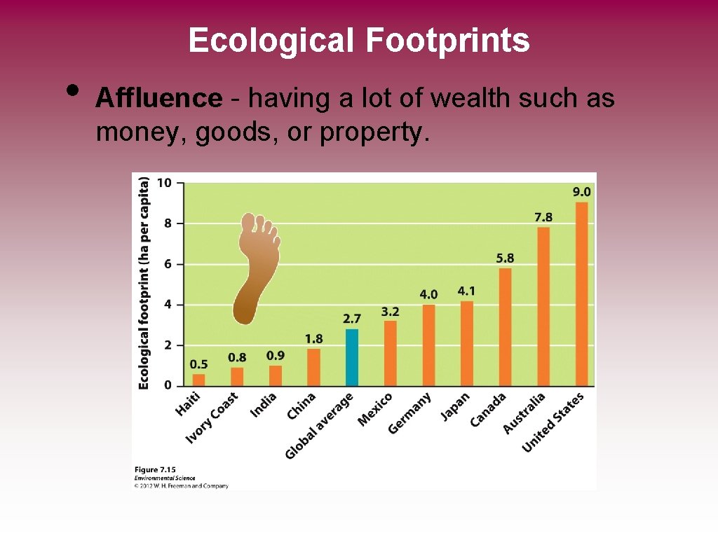 Ecological Footprints • Affluence - having a lot of wealth such as money, goods,