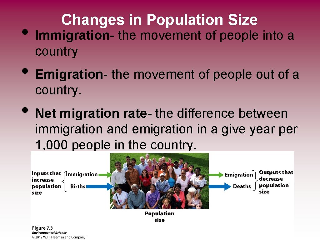 Changes in Population Size • Immigration- the movement of people into a country •