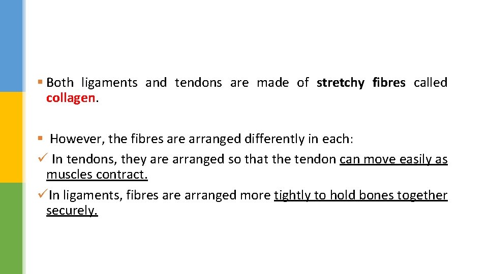 § Both ligaments and tendons are made of stretchy fibres called collagen. § However,