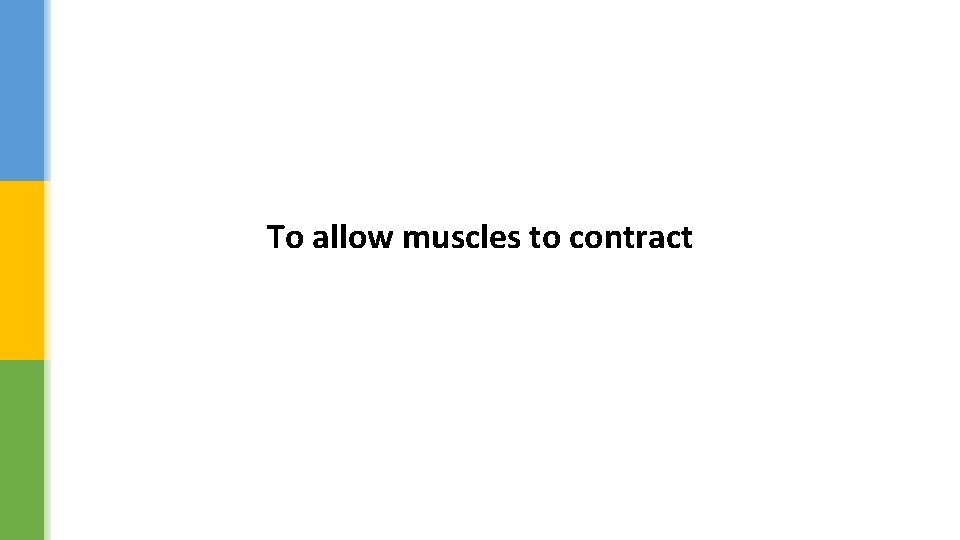 To allow muscles to contract 