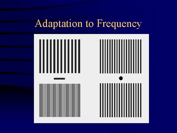 Adaptation to Frequency 