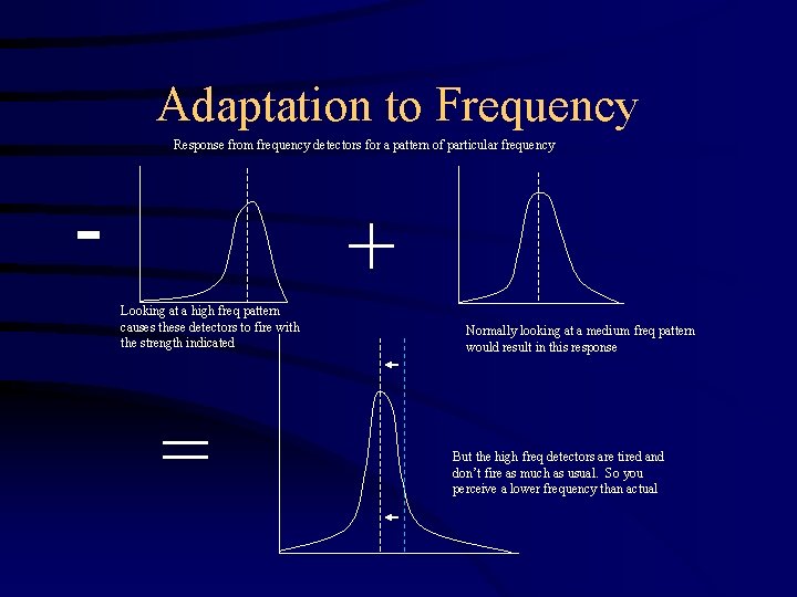 Adaptation to Frequency Response from frequency detectors for a pattern of particular frequency -