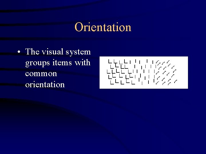 Orientation • The visual system groups items with common orientation 