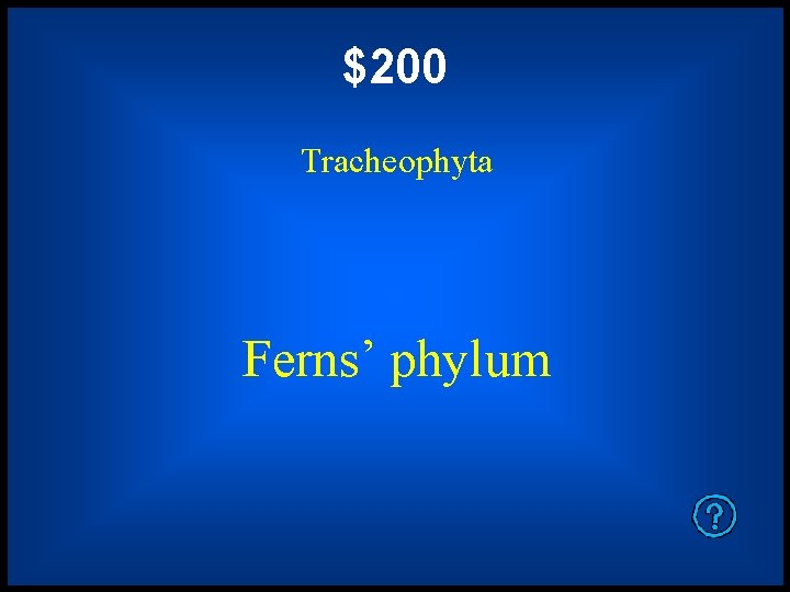 $200 Tracheophyta Ferns’ phylum 