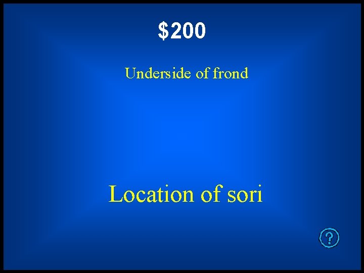 $200 Underside of frond Location of sori 