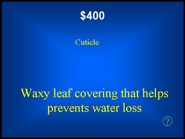 $400 Cuticle Waxy leaf covering that helps prevents water loss 