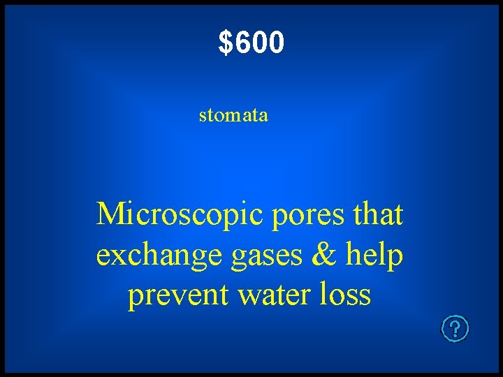 $600 stomata Microscopic pores that exchange gases & help prevent water loss 