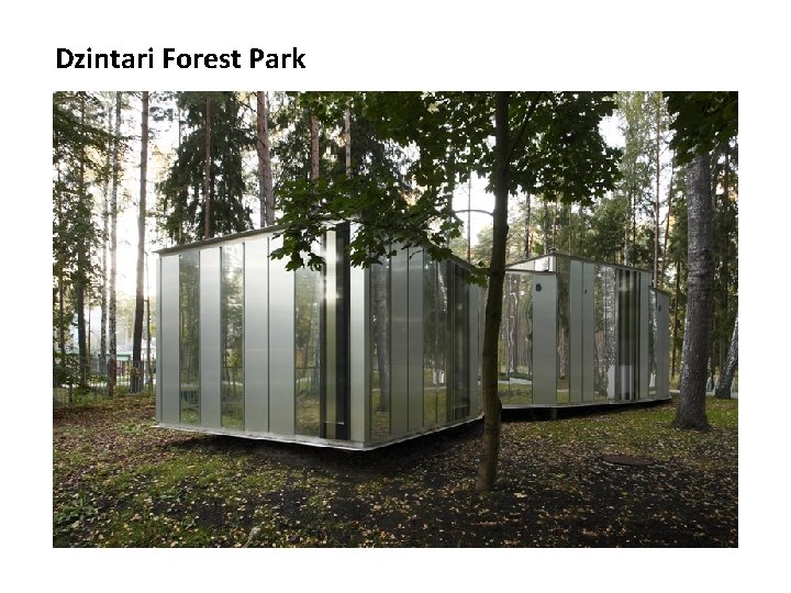 Dzintari Forest Park 