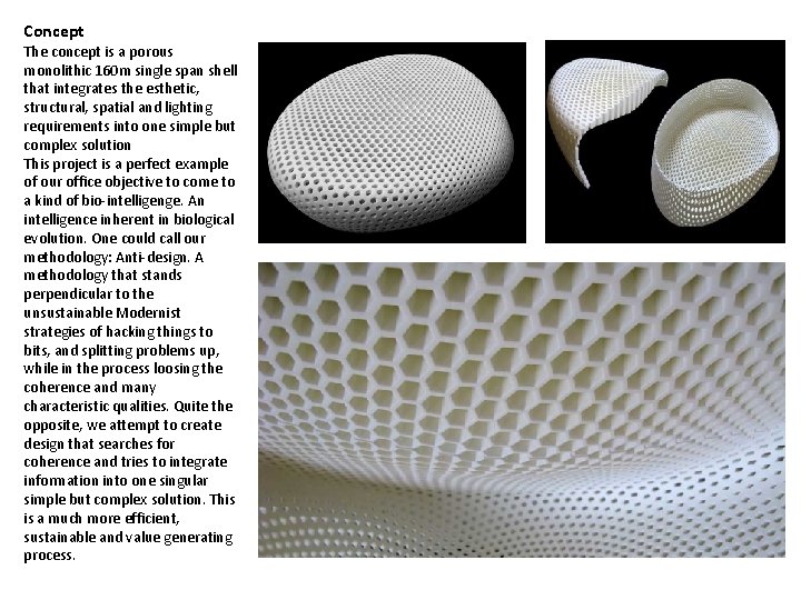 Concept The concept is a porous monolithic 160 m single span shell that integrates