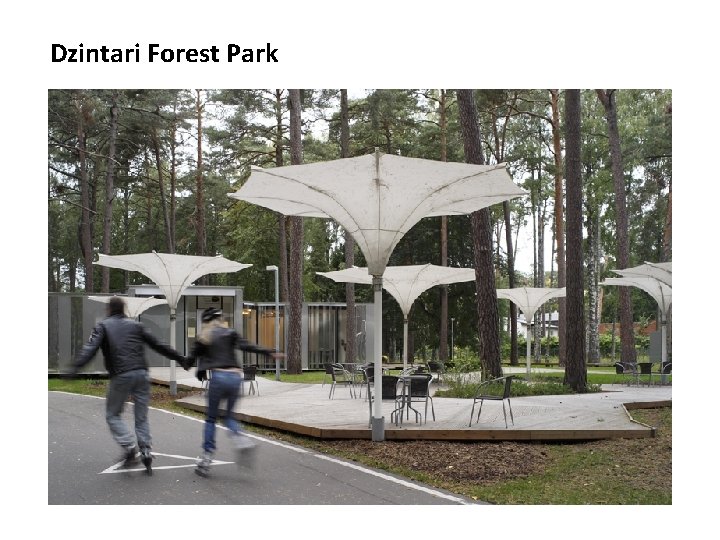 Dzintari Forest Park 