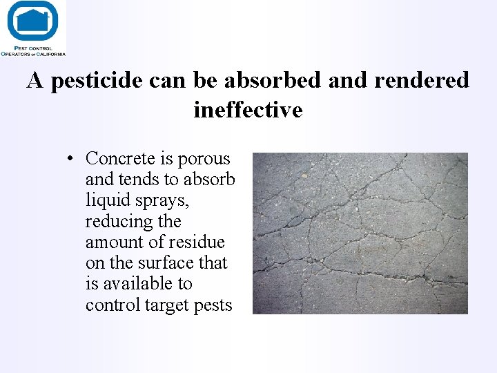 A pesticide can be absorbed and rendered ineffective • Concrete is porous and tends