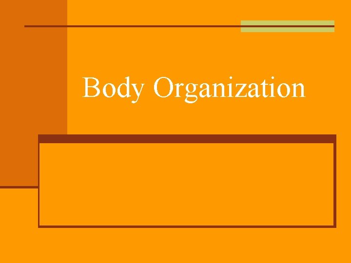 Body Organization 