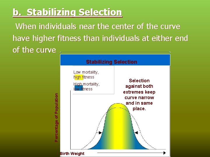 b. Stabilizing Selection When individuals near the center of the curve have higher fitness