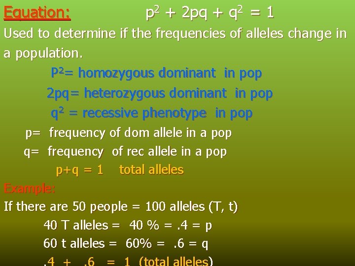 Equation: p 2 + 2 pq + q 2 = 1 Used to determine