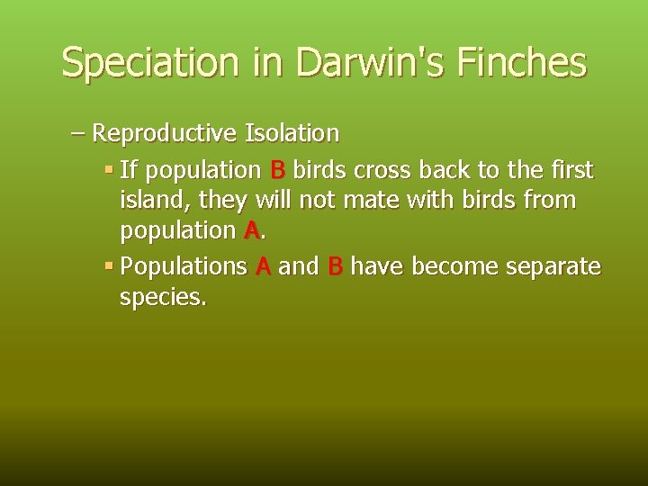 Speciation in Darwin's Finches – Reproductive Isolation § If population B birds cross back