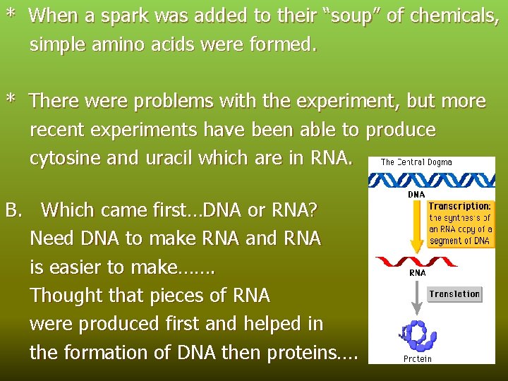 * When a spark was added to their “soup” of chemicals, simple amino acids