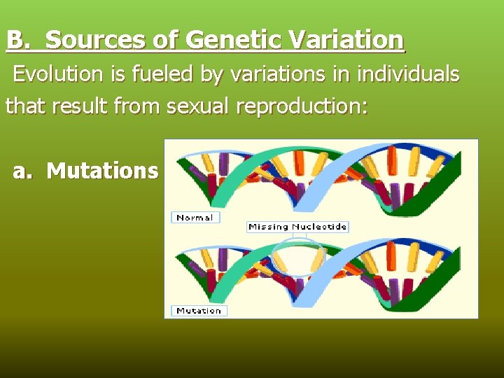 B. Sources of Genetic Variation Evolution is fueled by variations in individuals that result
