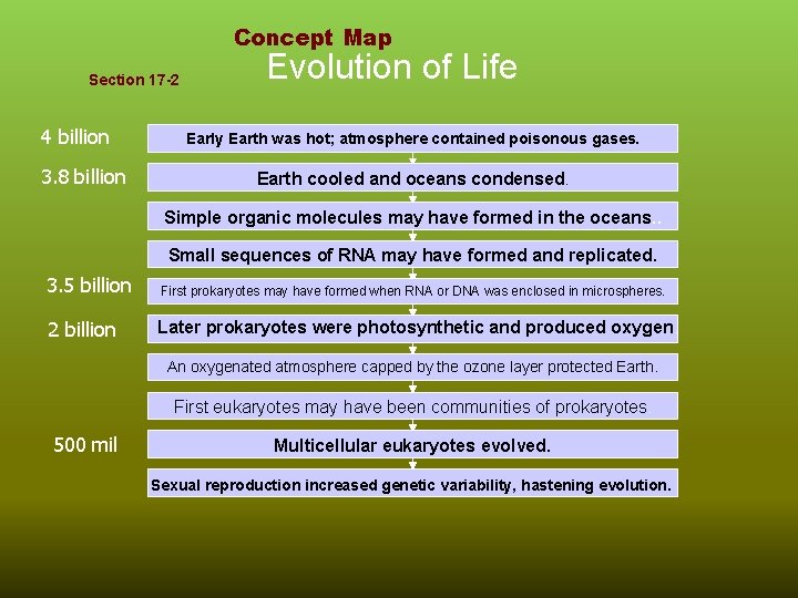 Concept Map Section 17 -2 4 billion 3. 8 billion Evolution of Life Early