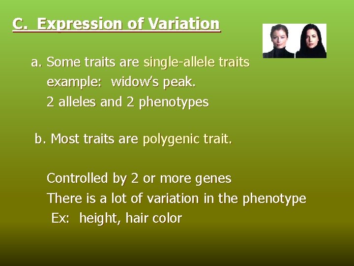 C. Expression of Variation a. Some traits are single-allele traits example: widow’s peak. 2