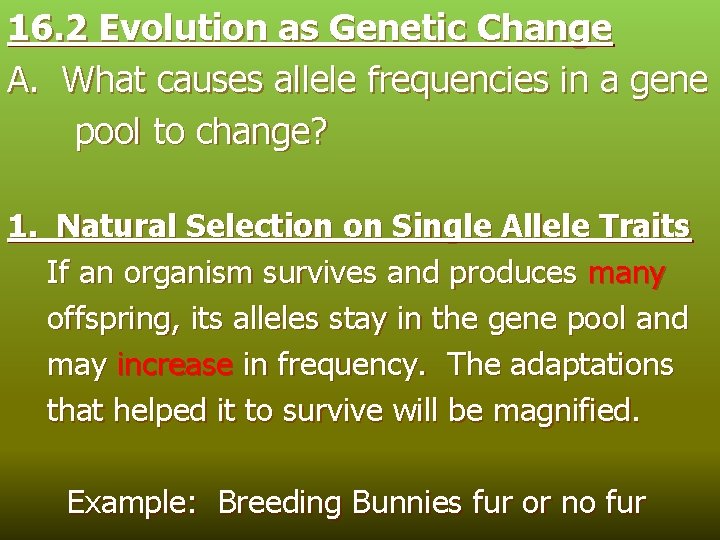 16. 2 Evolution as Genetic Change A. What causes allele frequencies in a gene