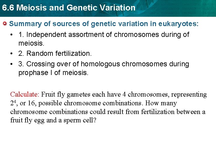 6. 6 Meiosis and Genetic Variation Summary of sources of genetic variation in eukaryotes: