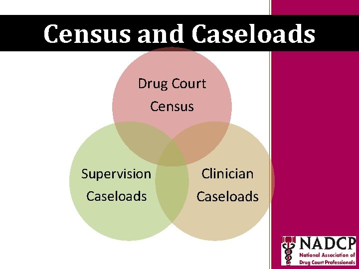 Key Moments in NADCP History Census and Caseloads Drug Court Census Supervision Caseloads Clinician