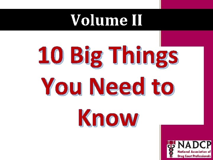 Volume II 10 Big Things You Need to Know 