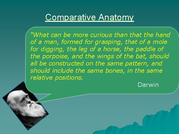 Comparative Anatomy “What can be more curious than that the hand of a man,
