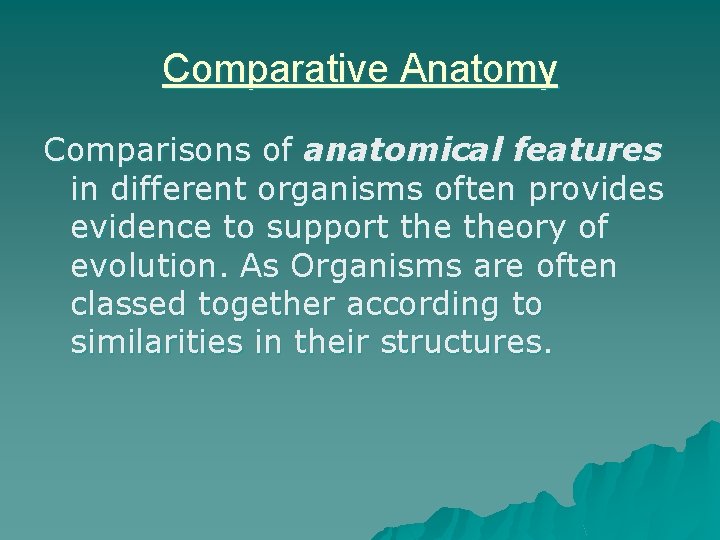 Comparative Anatomy Comparisons of anatomical features in different organisms often provides evidence to support