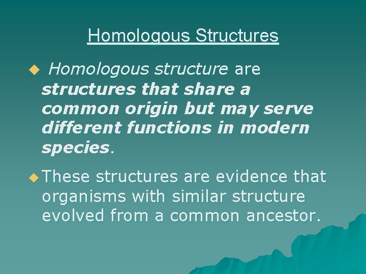 Homologous Structures u Homologous structure are structures that share a common origin but may