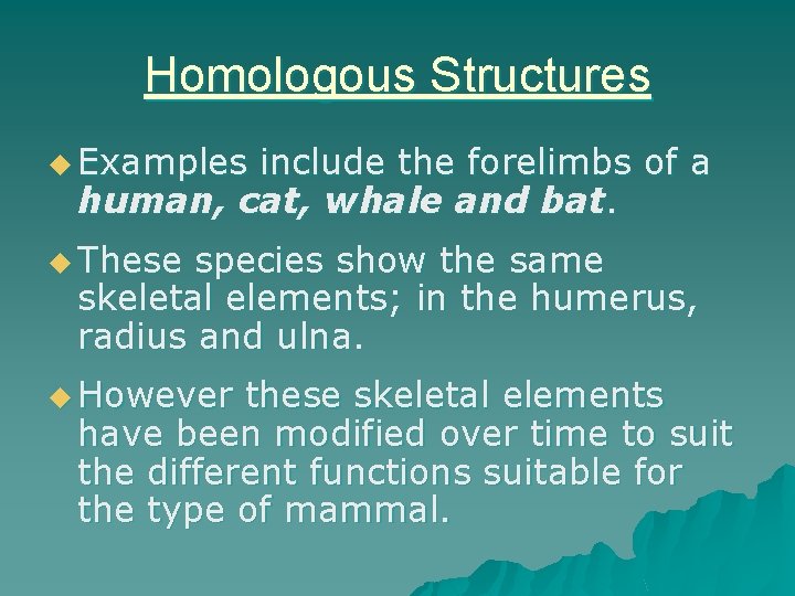 Homologous Structures u Examples include the forelimbs of a human, cat, whale and bat.