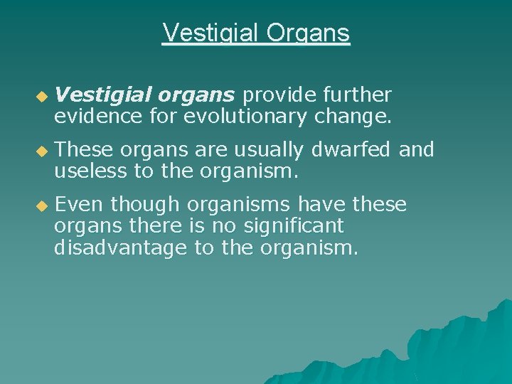 Vestigial Organs u u u Vestigial organs provide further evidence for evolutionary change. These