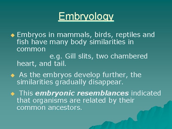 Embryology u u u Embryos in mammals, birds, reptiles and fish have many body