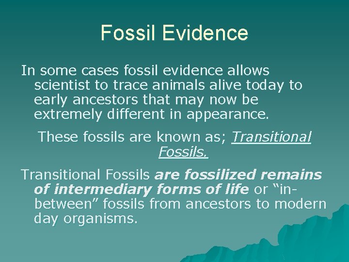 Fossil Evidence In some cases fossil evidence allows scientist to trace animals alive today