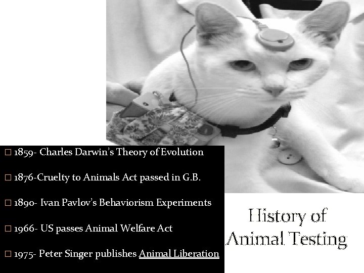 � 1859 - Charles Darwin’s Theory of Evolution � 1876 -Cruelty to Animals Act
