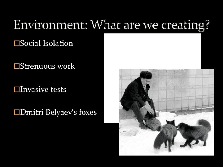 Environment: What are we creating? �Social Isolation �Strenuous work �Invasive tests �Dmitri Belyaev’s foxes