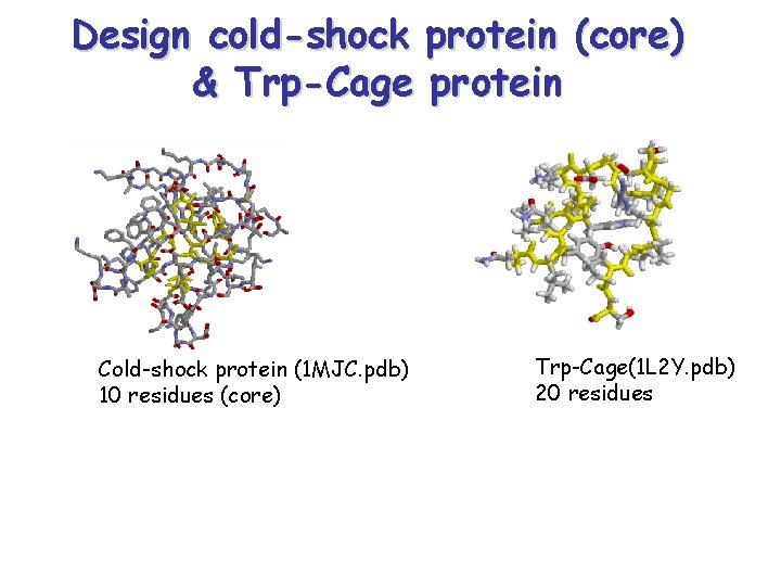 Design cold-shock protein (core) & Trp-Cage protein Cold-shock protein (1 MJC. pdb) 10 residues