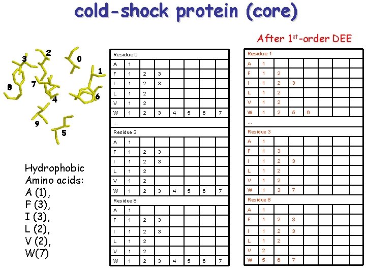 cold-shock protein (core) After 1 st-order DEE 2 3 0 1 8 7 6