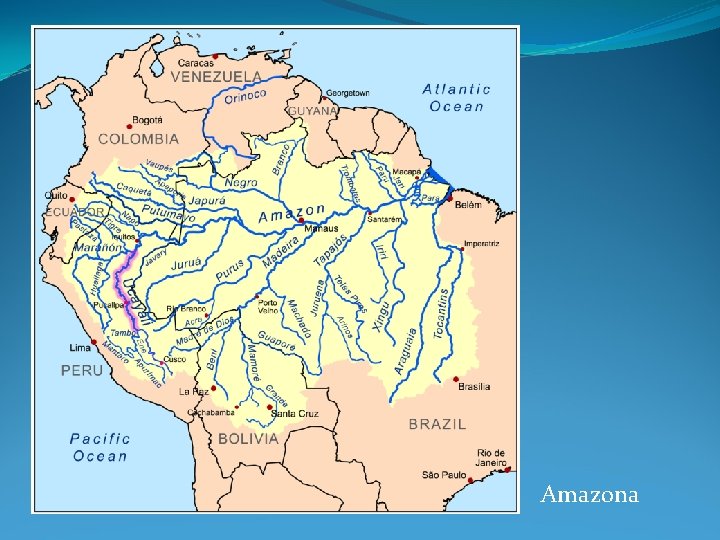 Amazona 