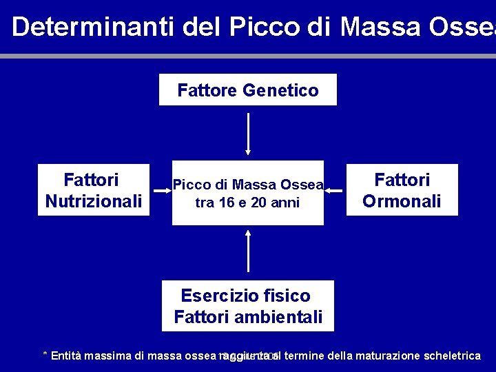 Determinanti del Picco di Massa Ossea Fattore Genetico Fattori Nutrizionali Picco di Massa Ossea