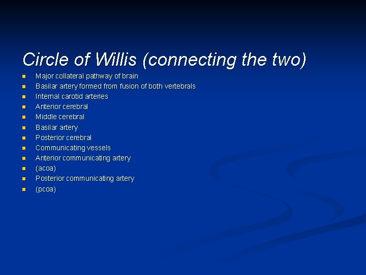 Circle of Willis (connecting the two) n n n Major collateral pathway of brain