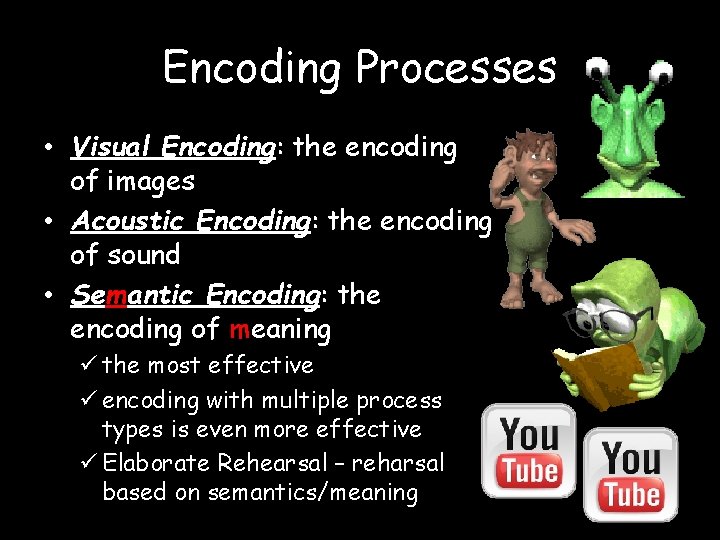 Encoding Processes • Visual Encoding: the encoding of images • Acoustic Encoding: the encoding