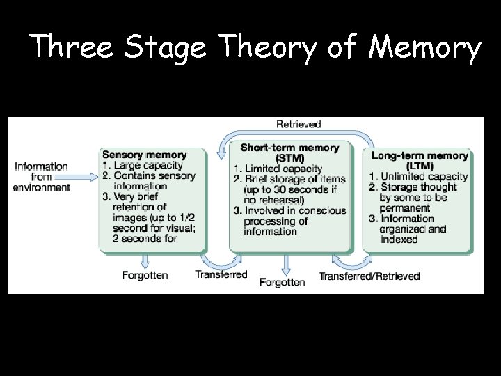 Three Stage Theory of Memory 