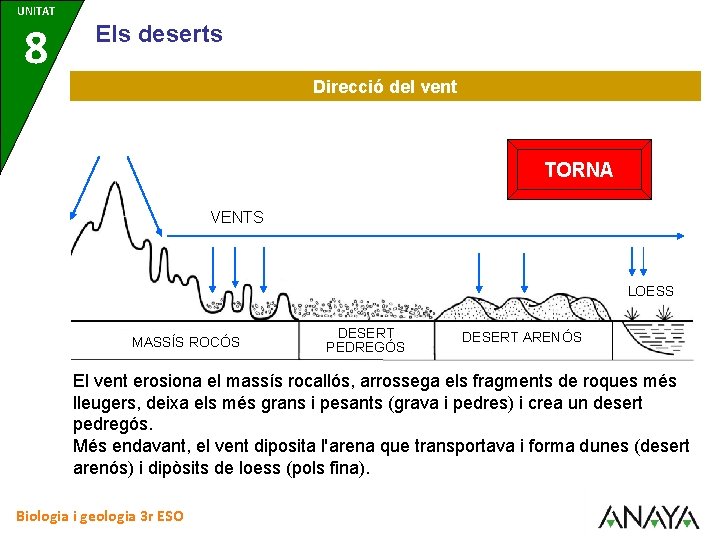 UNITAT 8 Els deserts Direcció del vent TORNA VENTS LOESS S MASSÍS ROCÓS DESERT