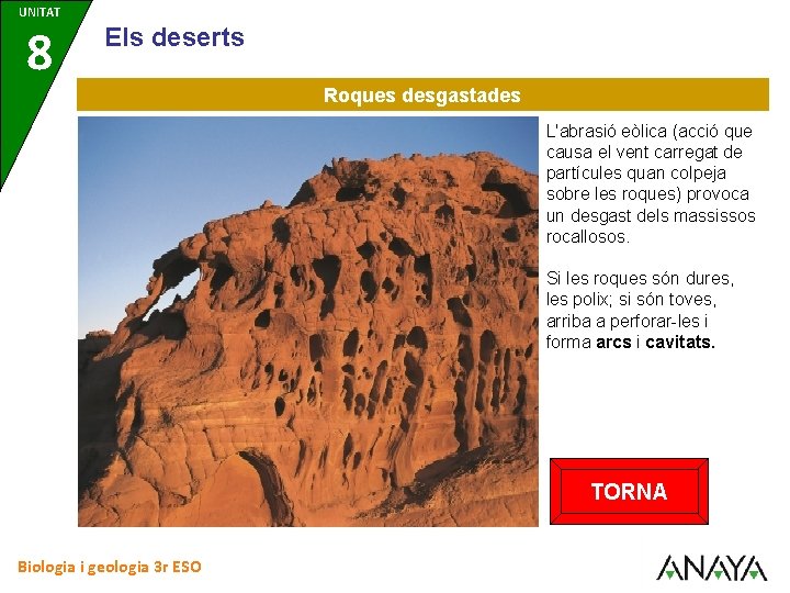 UNITAT 8 Els deserts Roques desgastades L'abrasió eòlica (acció que causa el vent carregat