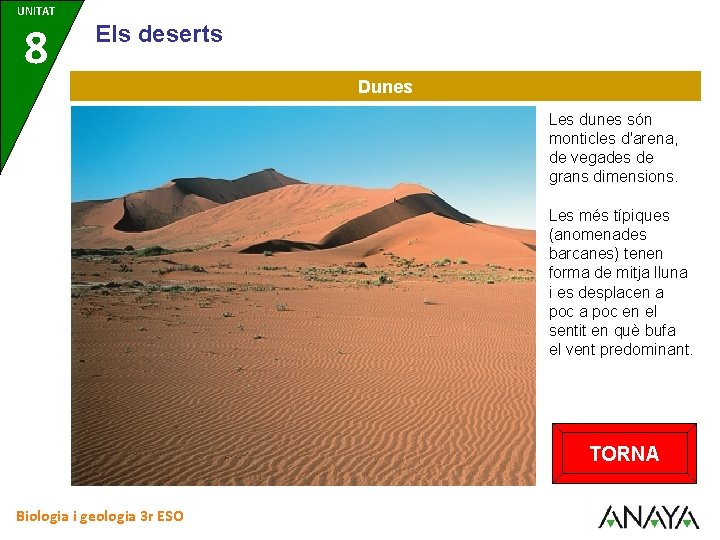 UNITAT 8 Els deserts Dunes Les dunes són monticles d'arena, de vegades de grans