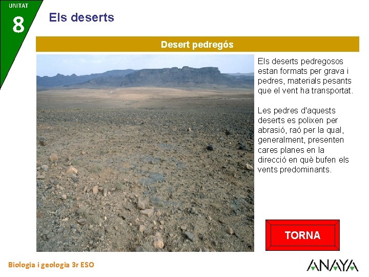 UNITAT 8 Els deserts Desert pedregós Els deserts pedregosos estan formats per grava i