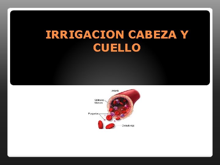 IRRIGACION CABEZA Y CUELLO 